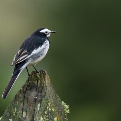 Photography & Creative Travel in Bhutan