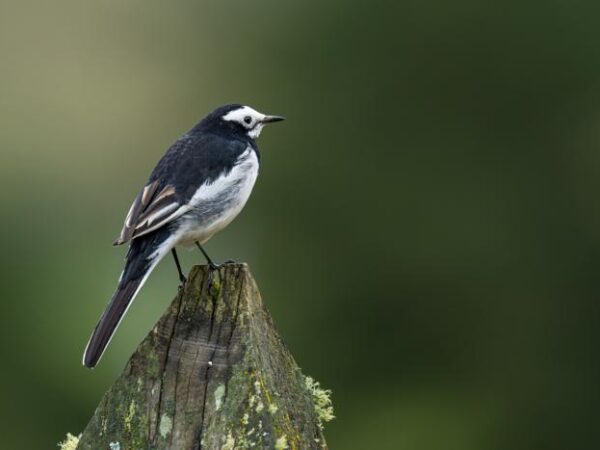 Photography & Creative Travel in Bhutan