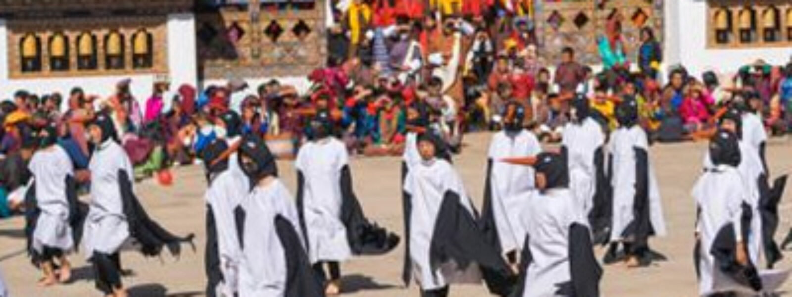 Festival & Spiritual Journeys