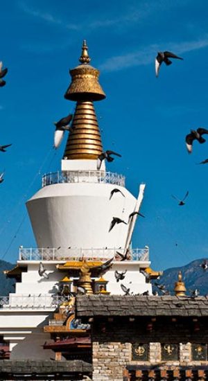 bhutan-memorial-stupa-in-thimpu-dat-vu